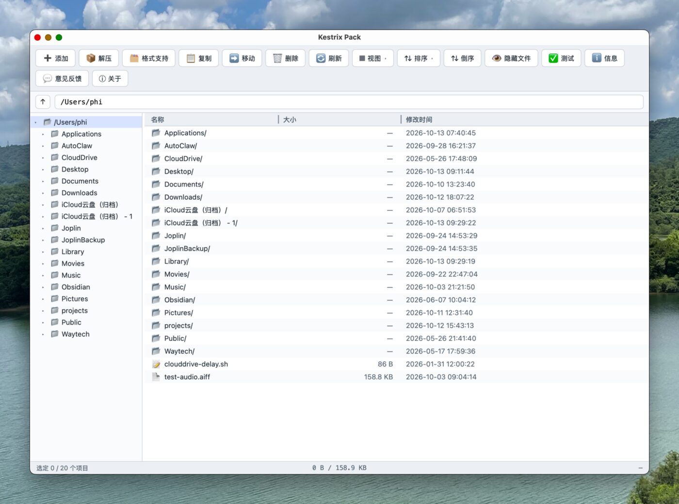 Main Interface